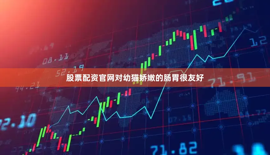 股票配资官网对幼猫娇嫩的肠胃很友好
