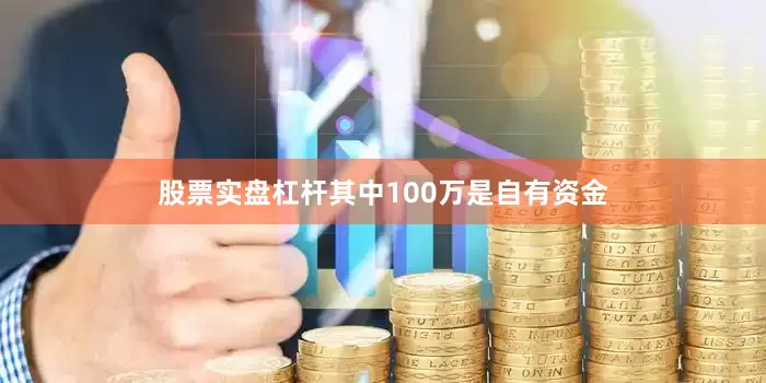 股票实盘杠杆其中100万是自有资金