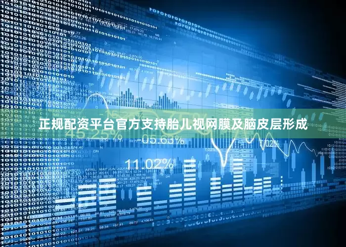 正规配资平台官方支持胎儿视网膜及脑皮层形成