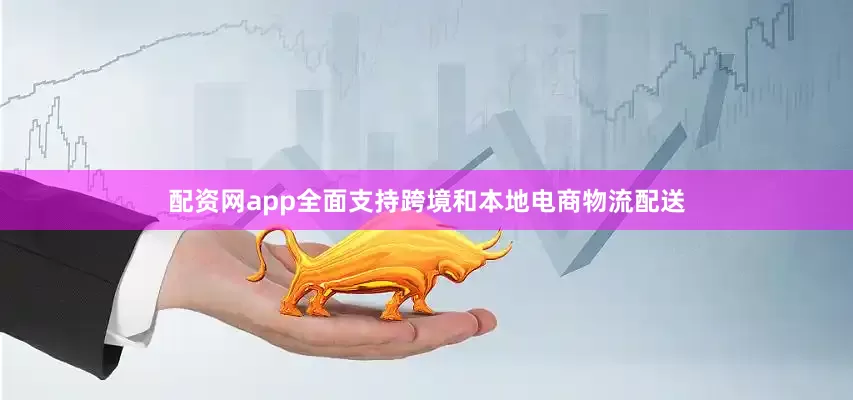 配资网app全面支持跨境和本地电商物流配送