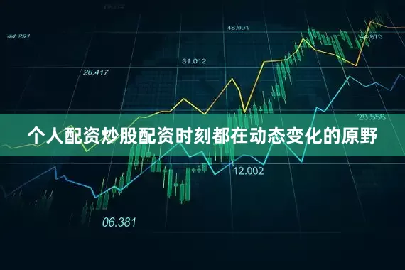 个人配资炒股配资时刻都在动态变化的原野