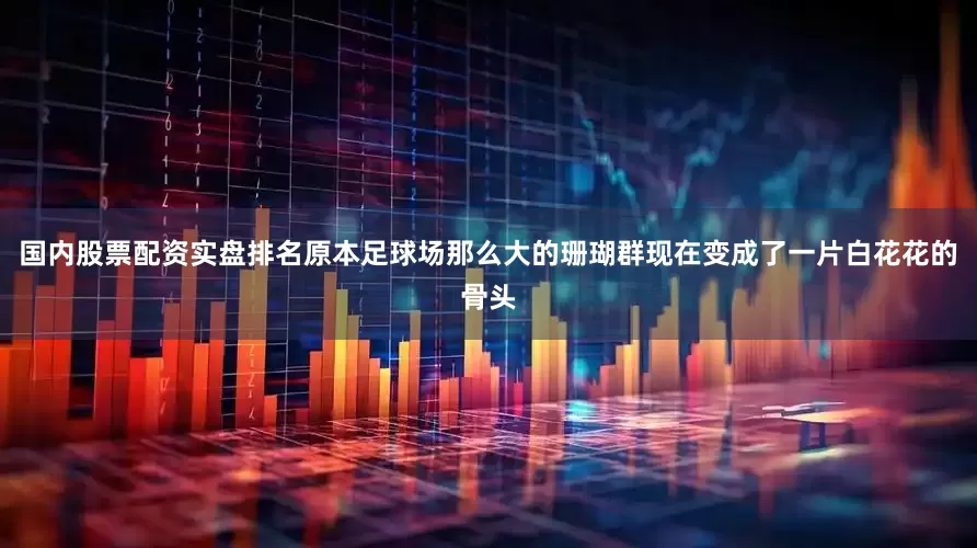 国内股票配资实盘排名原本足球场那么大的珊瑚群现在变成了一片白花花的骨头